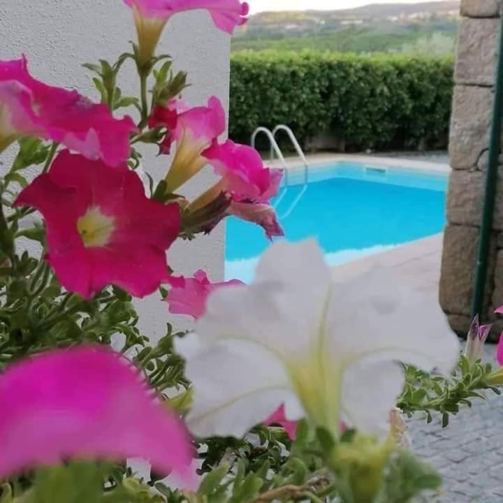 Casa Do Adro De Parada Parada de Pinhão 외부 사진